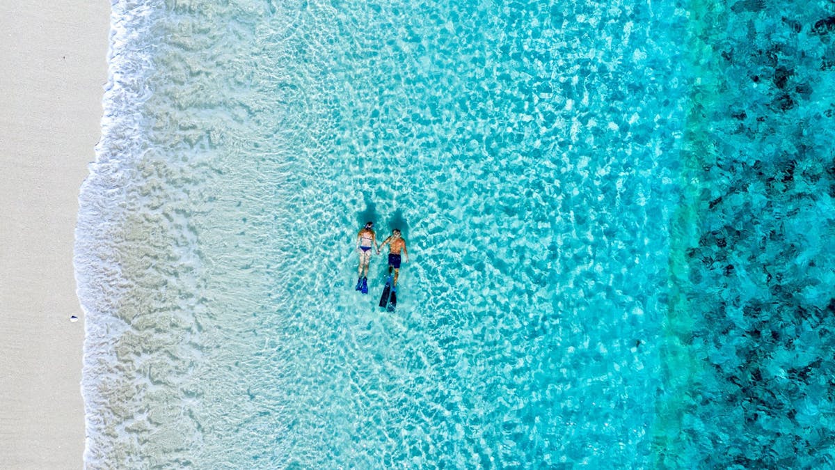 Snorkel straight off the beach on Wilson Island for some of the best snorkelling on the Barrier Reef