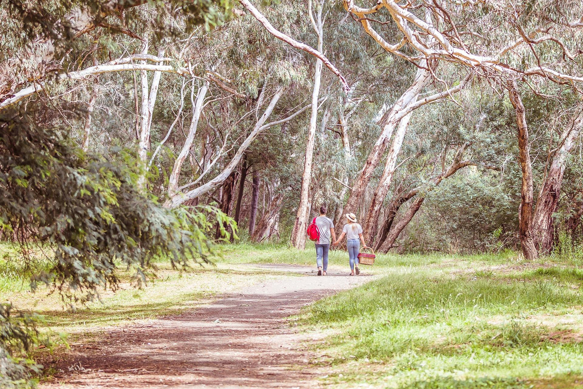 Goulburn River Trail