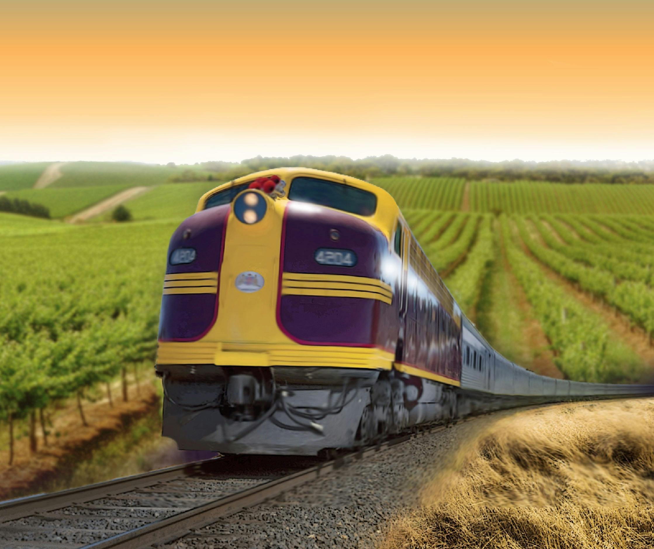 Riverina Rail Tour loco