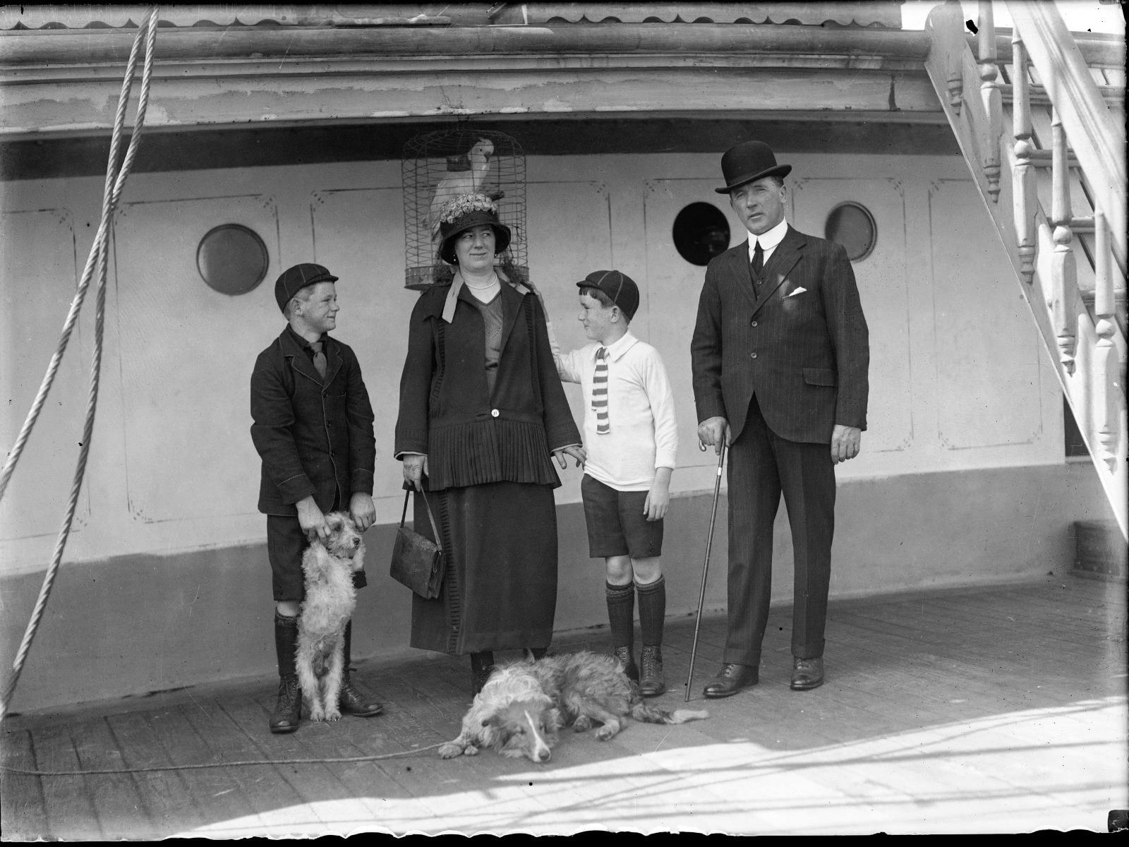 Cats and Dogs All at Sea