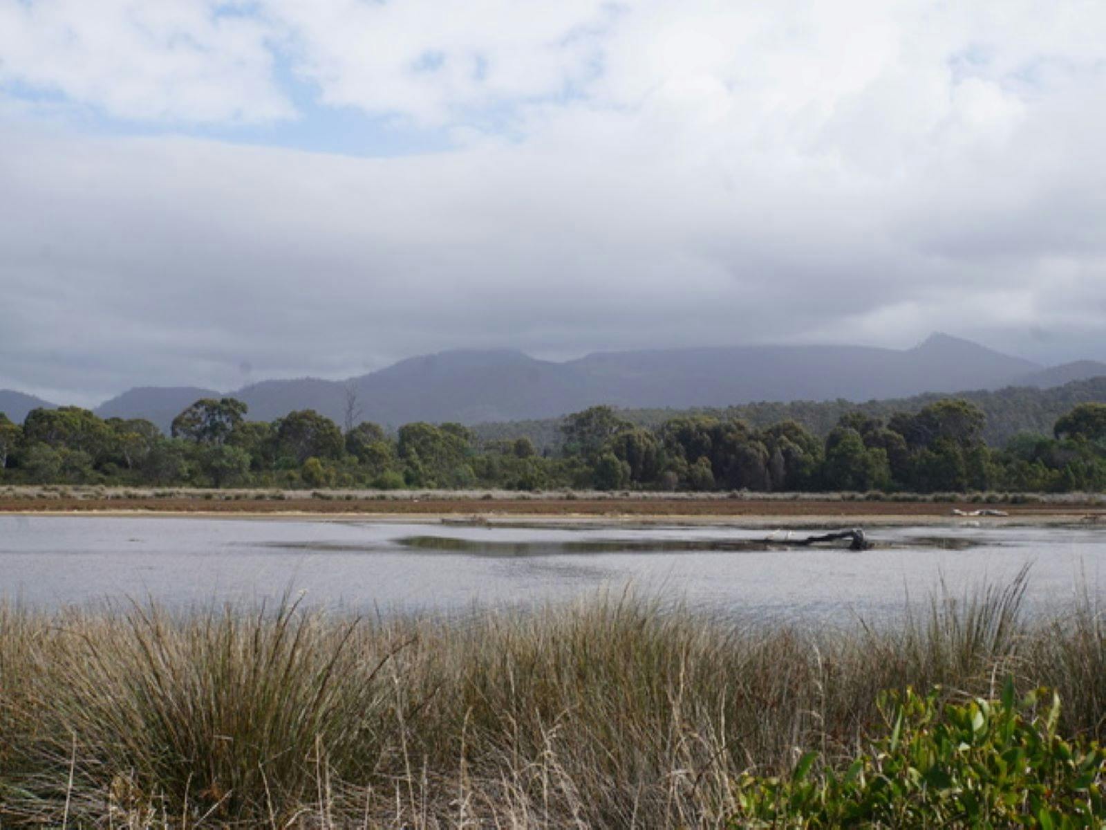 Winifred Curtis Reserve
