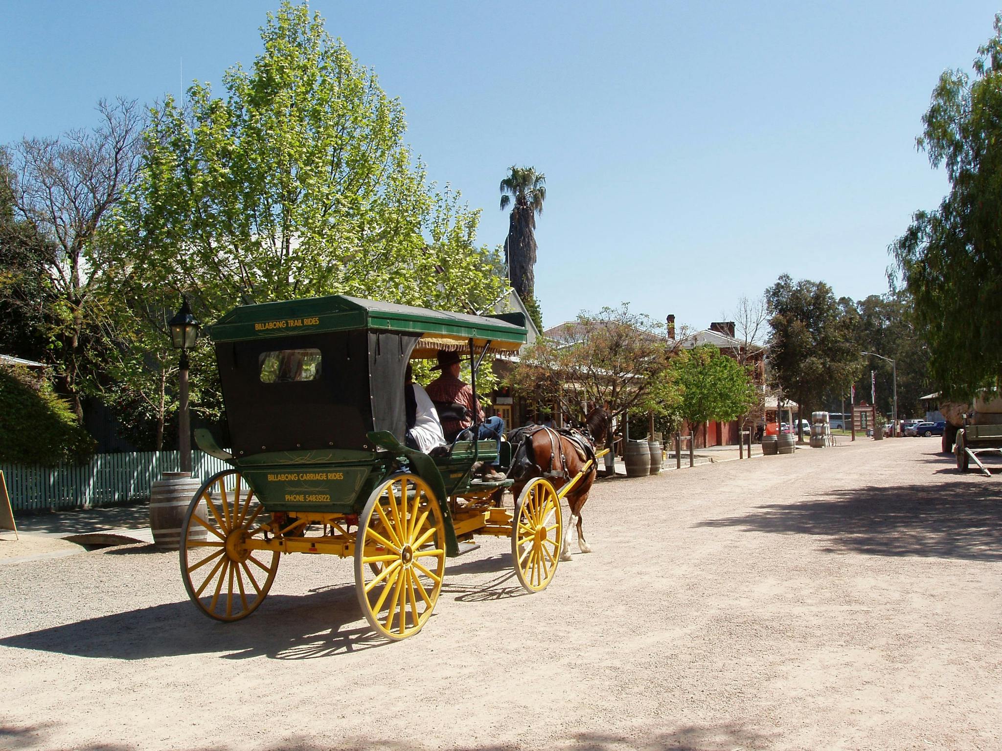 Horse and Carriage