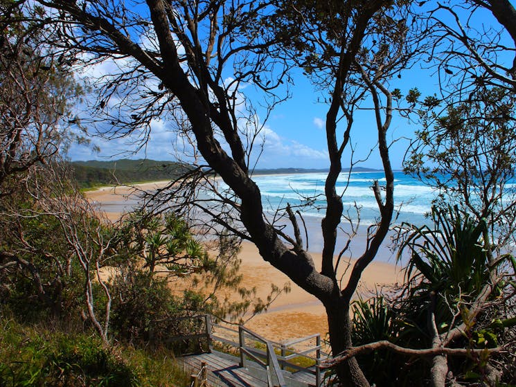 Foreshore glory. Illaroo.