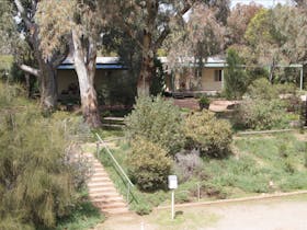 View through Red Gum trees to two-bedroom cabins from lower level.