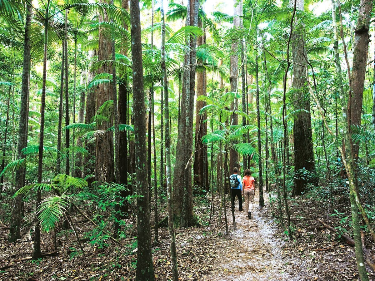 Basin Lake Walk,