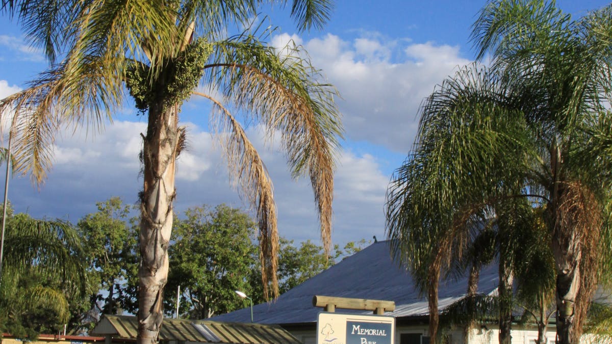 Yelarbon Community Hall Park