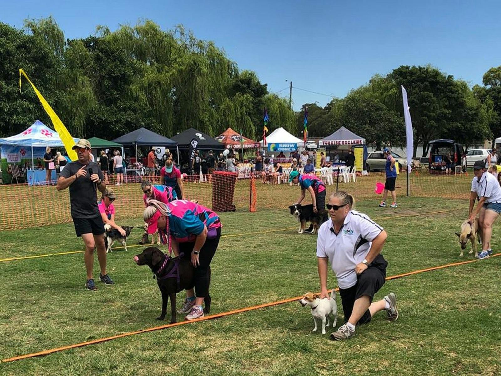 Image for Dogs in the Park NSW Bathurst