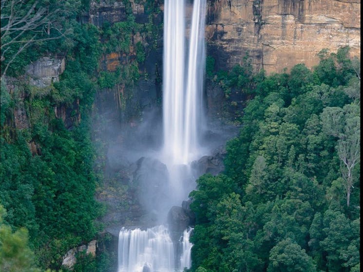 Fitzroy Falls