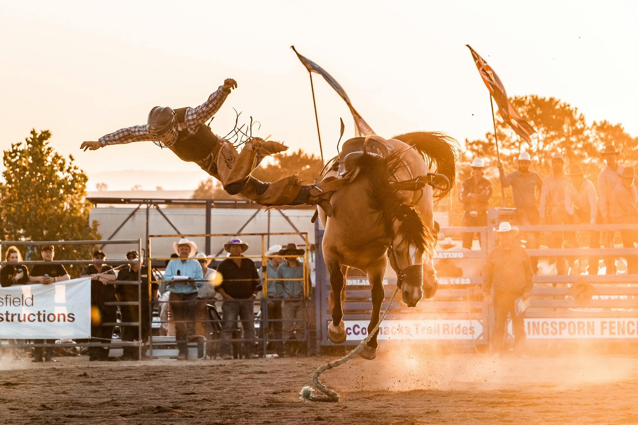 Cowboy taking a fall from bucking bronco