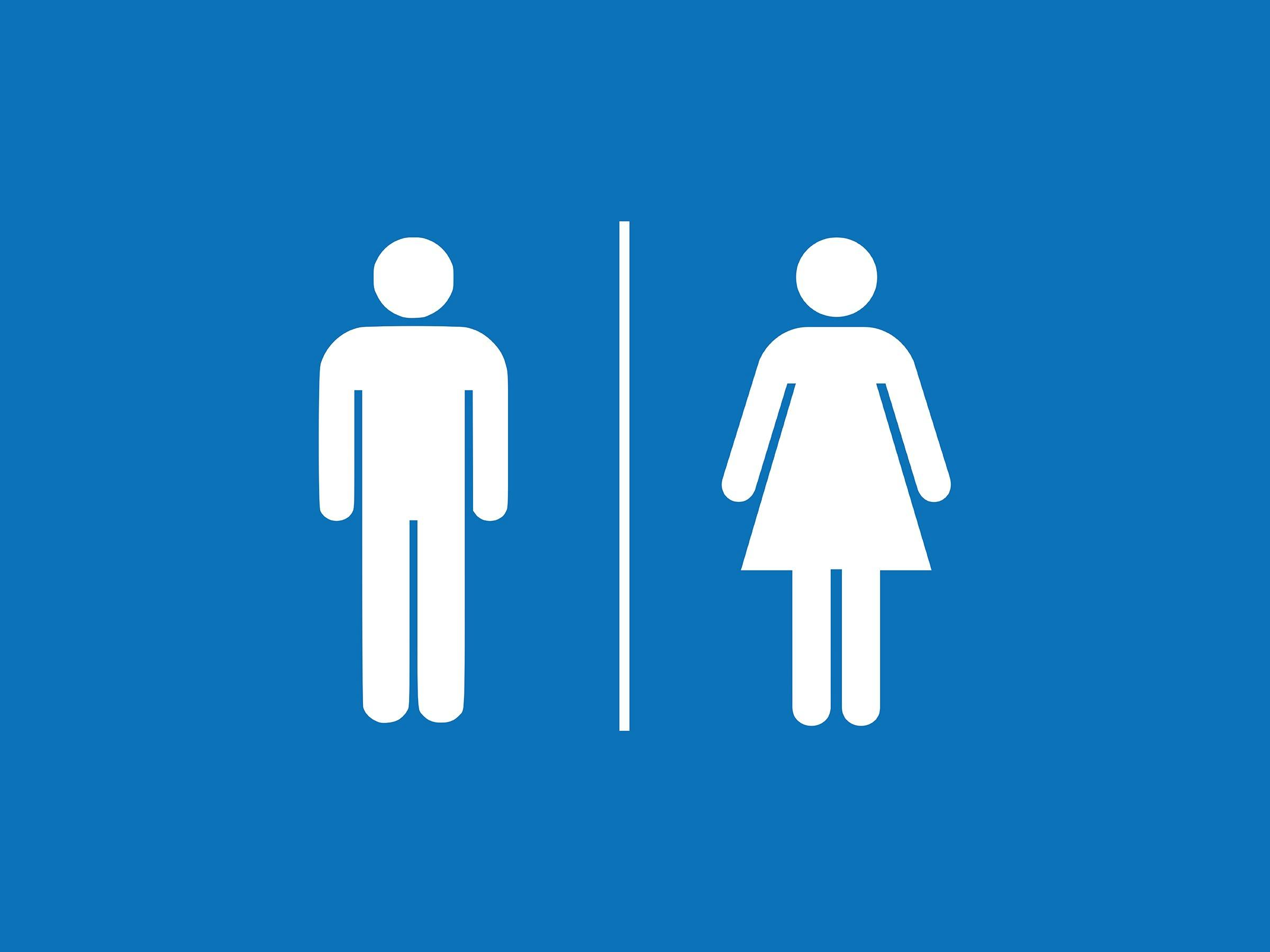 Mathinna, Main St - Public Toilets