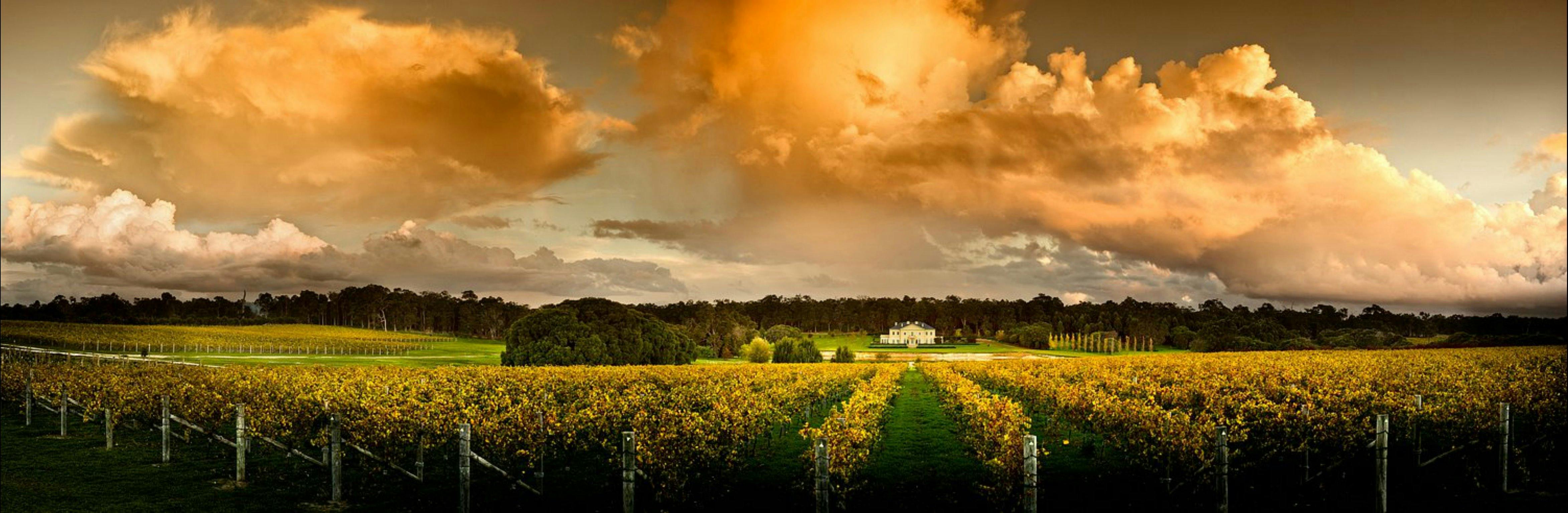 Fraser Gallop Estate