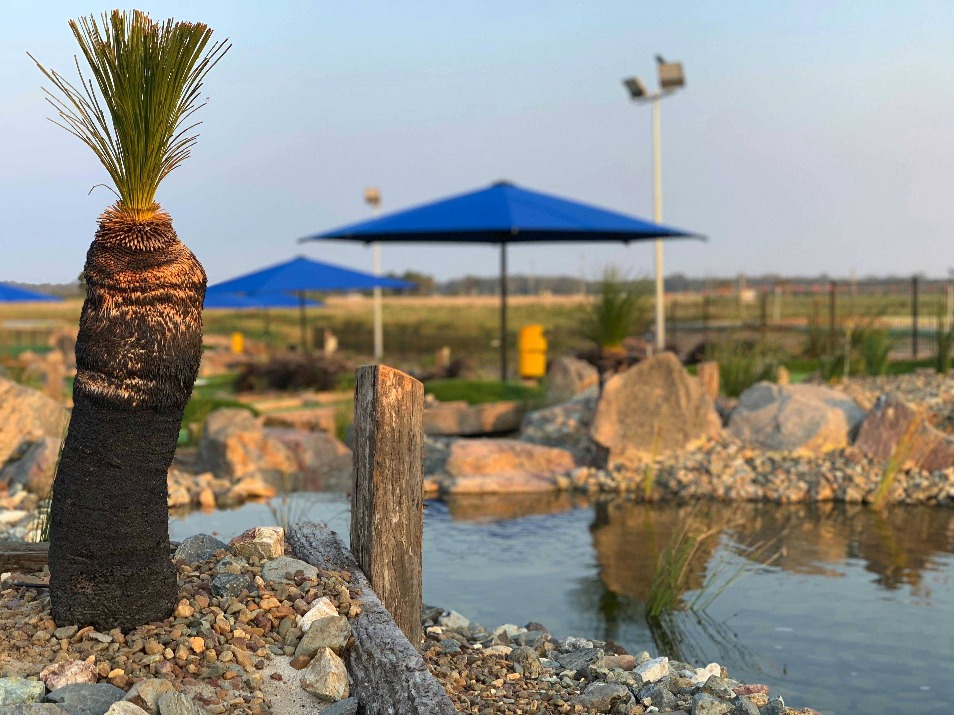 open 7 days from 9am until late