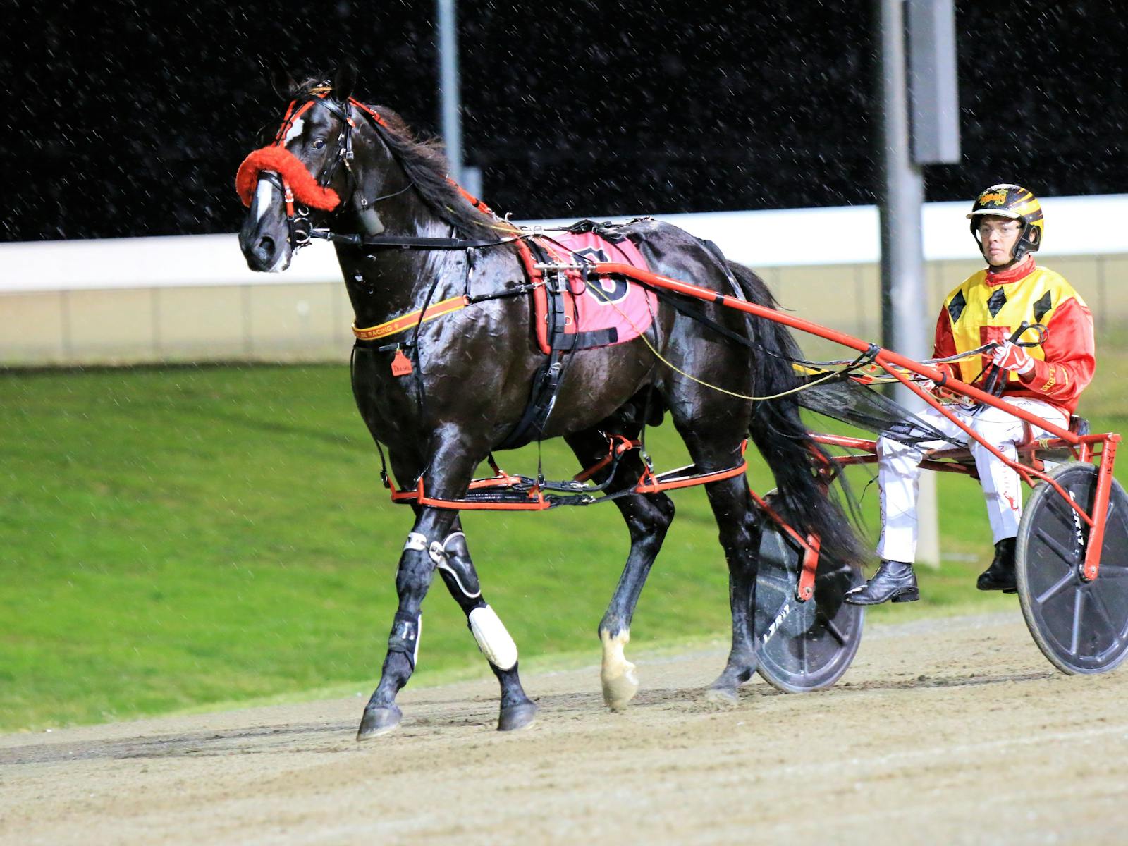 Image for Bathurst Gold Crown Carnival