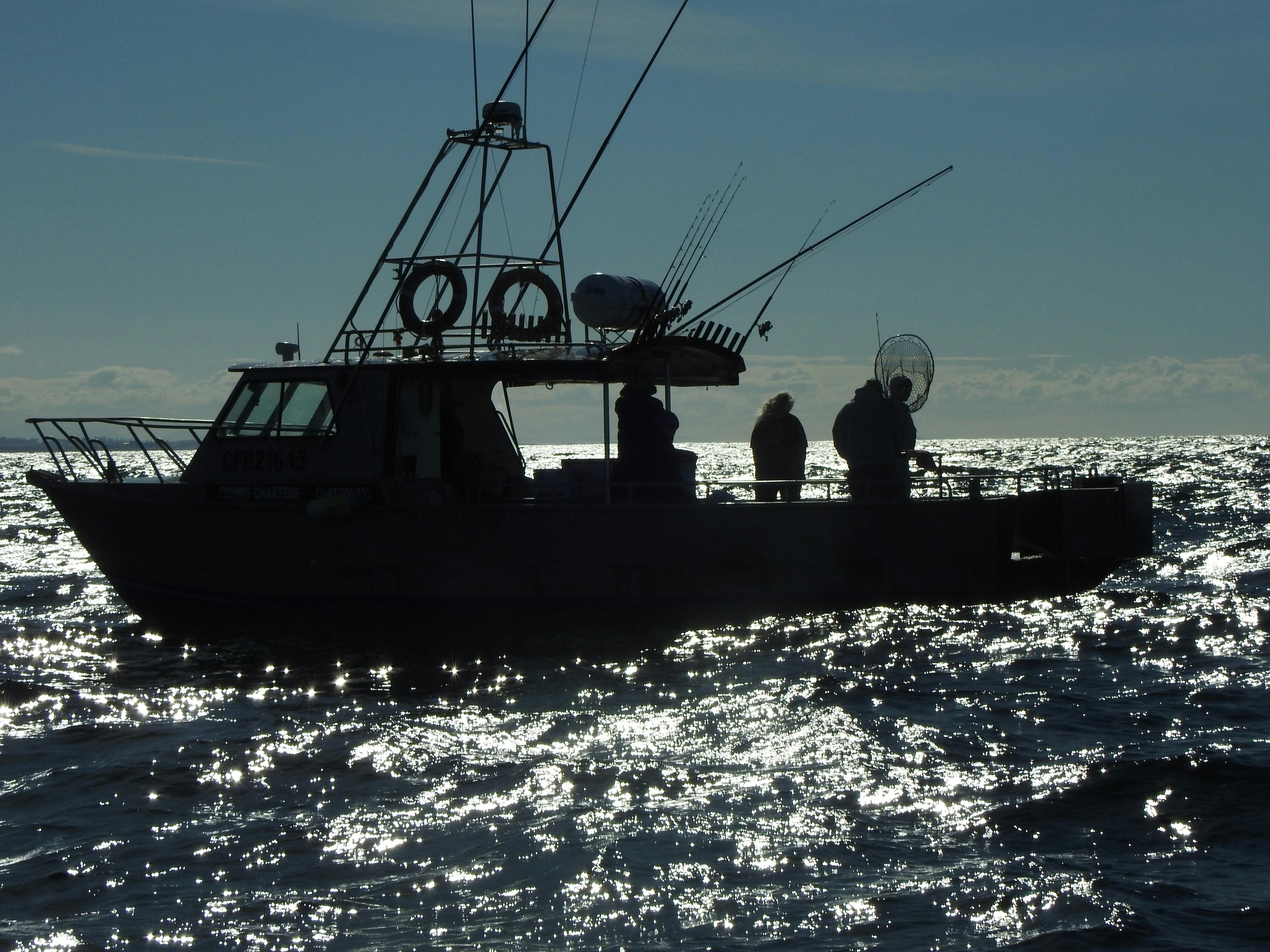 Five Hour Morning Reef Fish