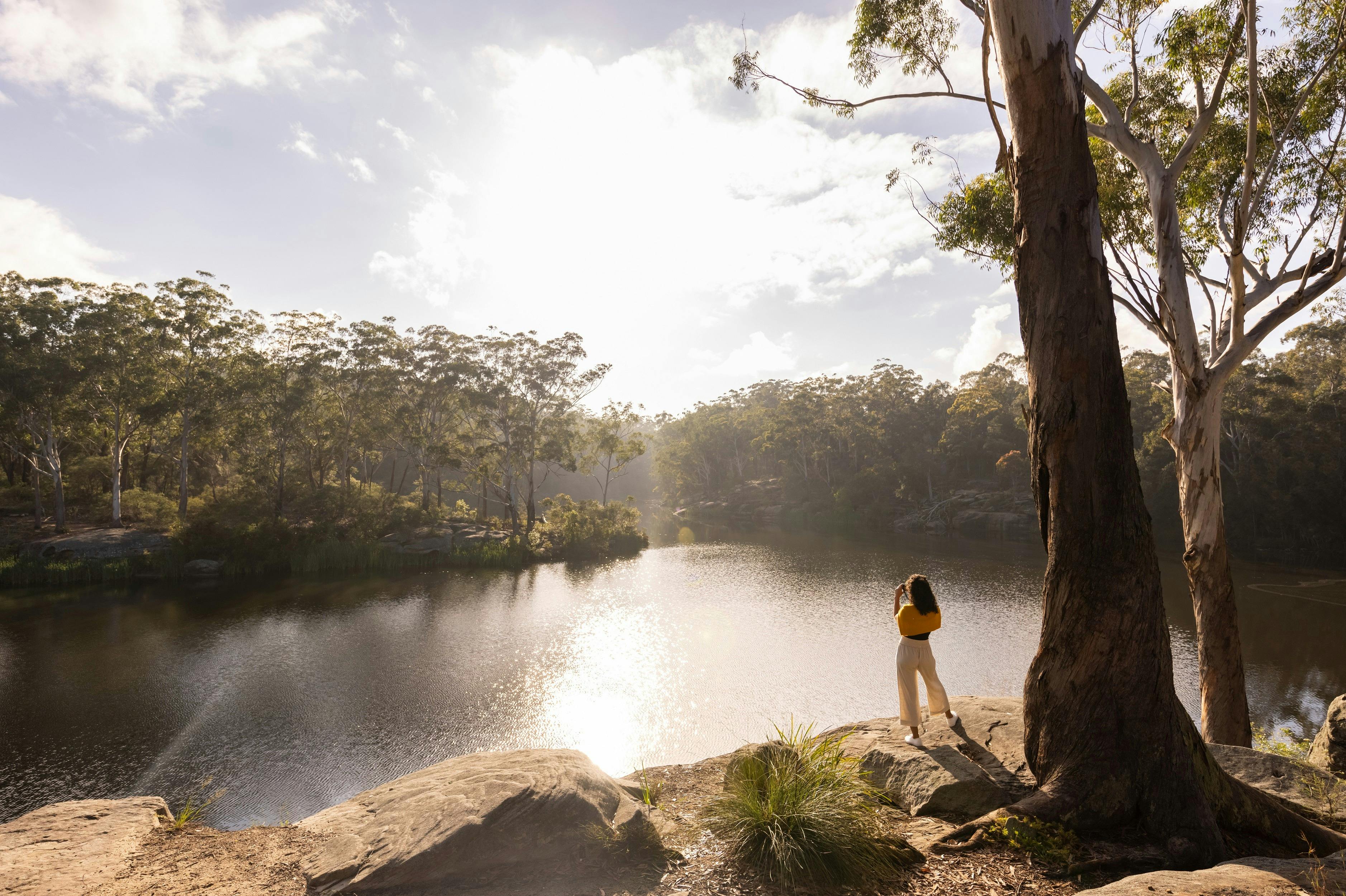Parramatta River Walk
