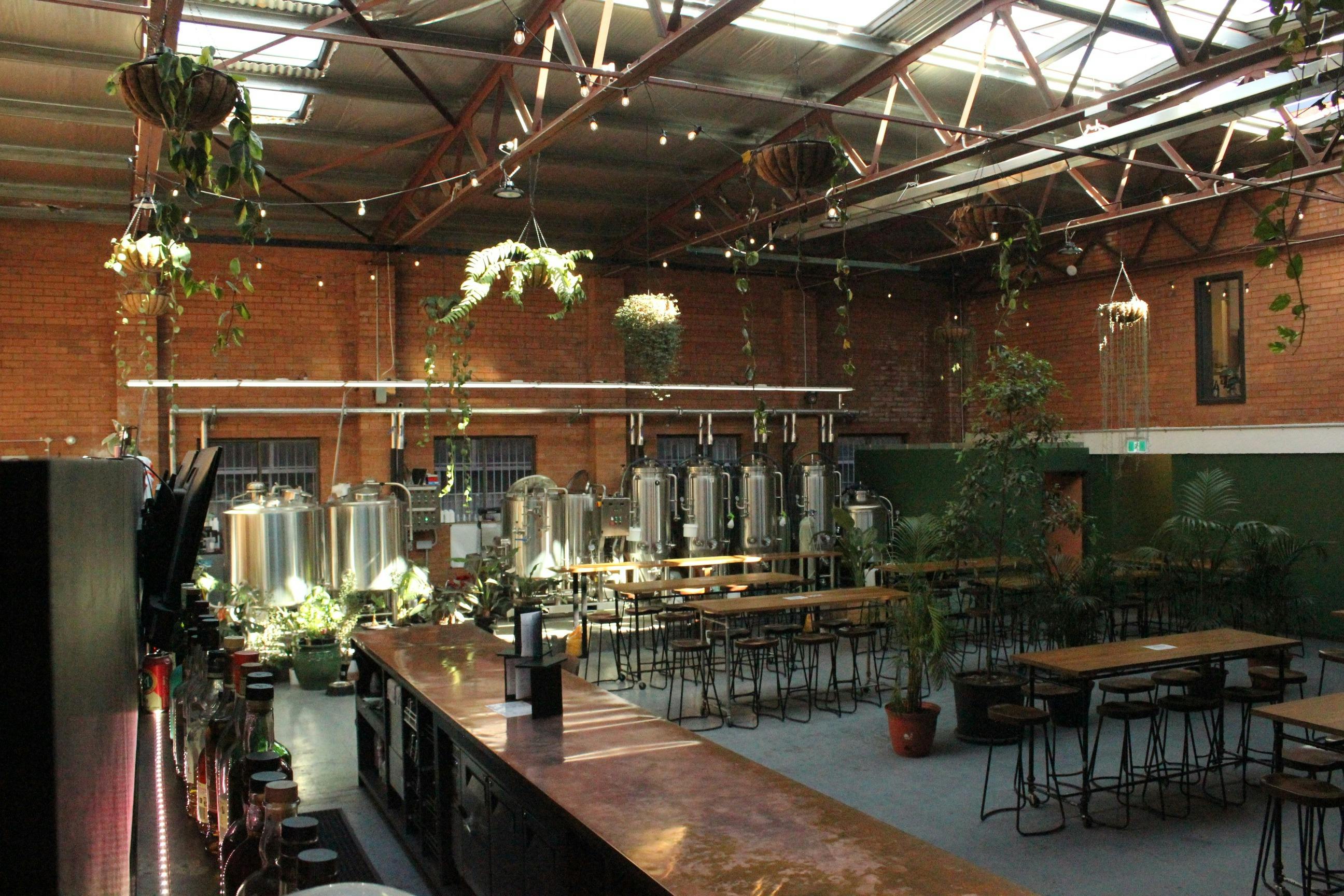 Mixtape Brewing and Bar