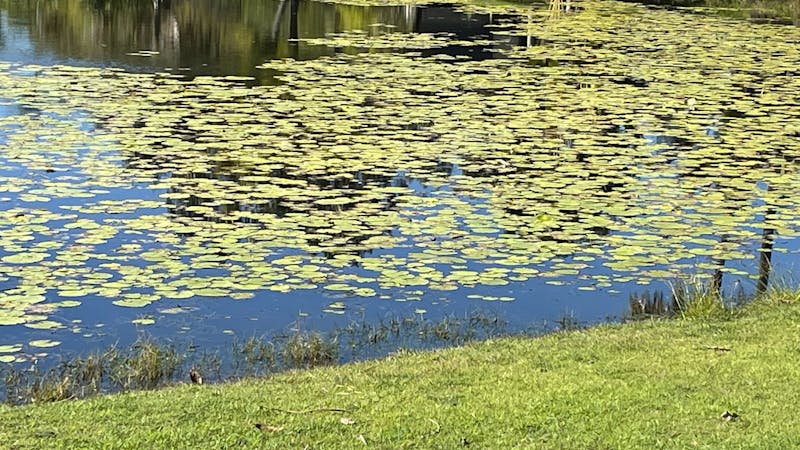 Sanctuary Lakes Fauna Retreat