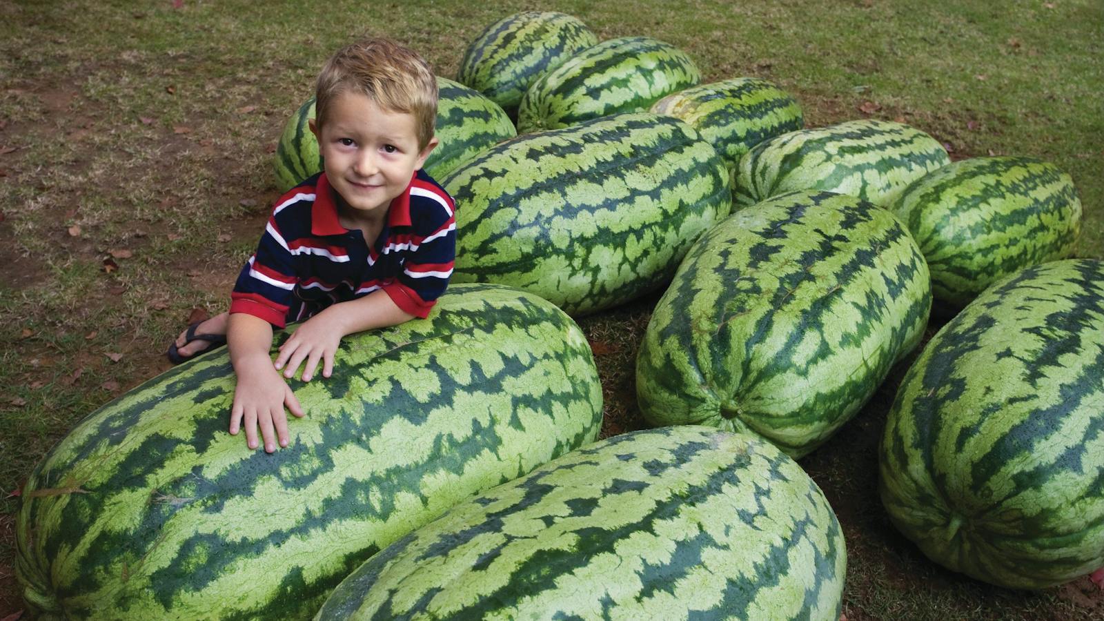 Consider taking the kids to the annual Chinchilla Melon Festival