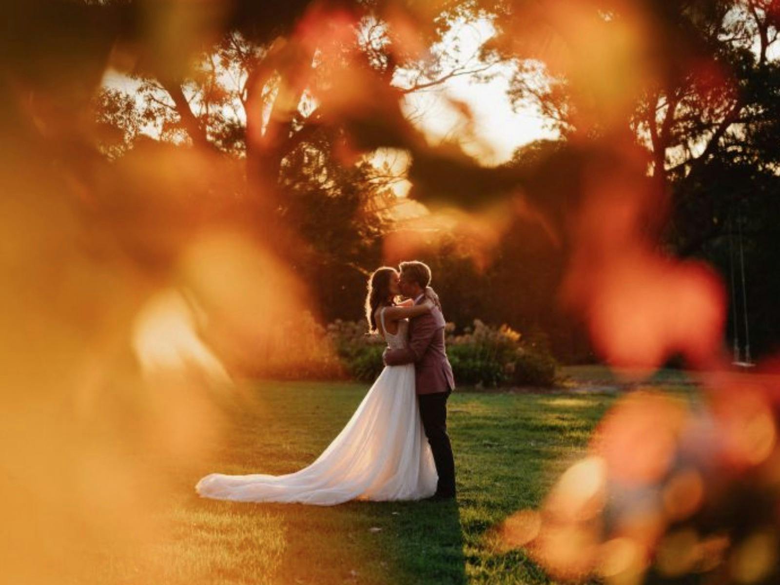 Growwild Wildflower Farm