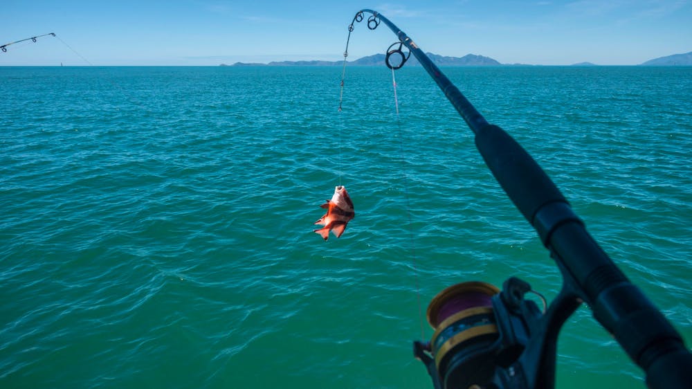 Fishing at Magnetic Island