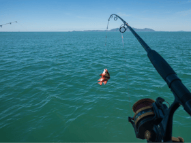 Fishing at Magnetic Island