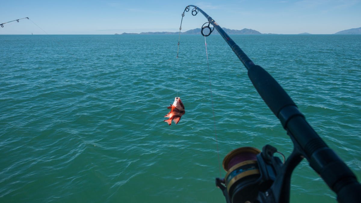 Fishing at Magnetic Island