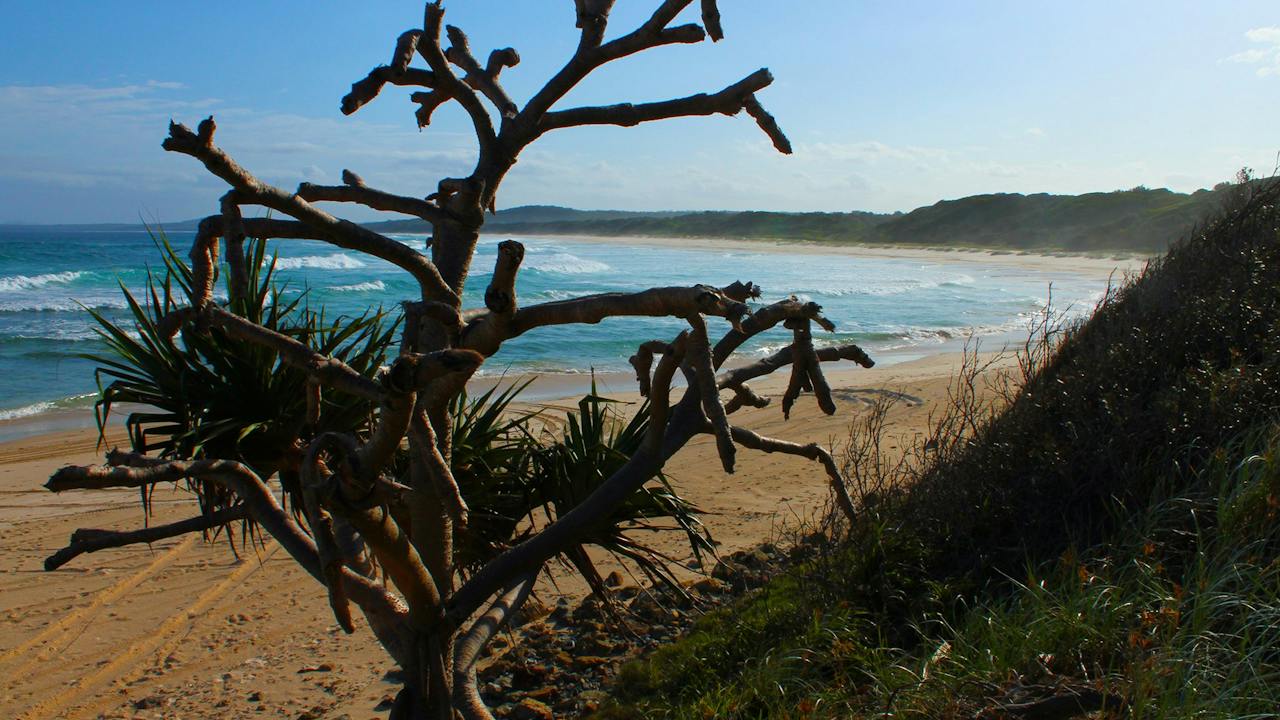 View south to Illaroo and Minnie Water.