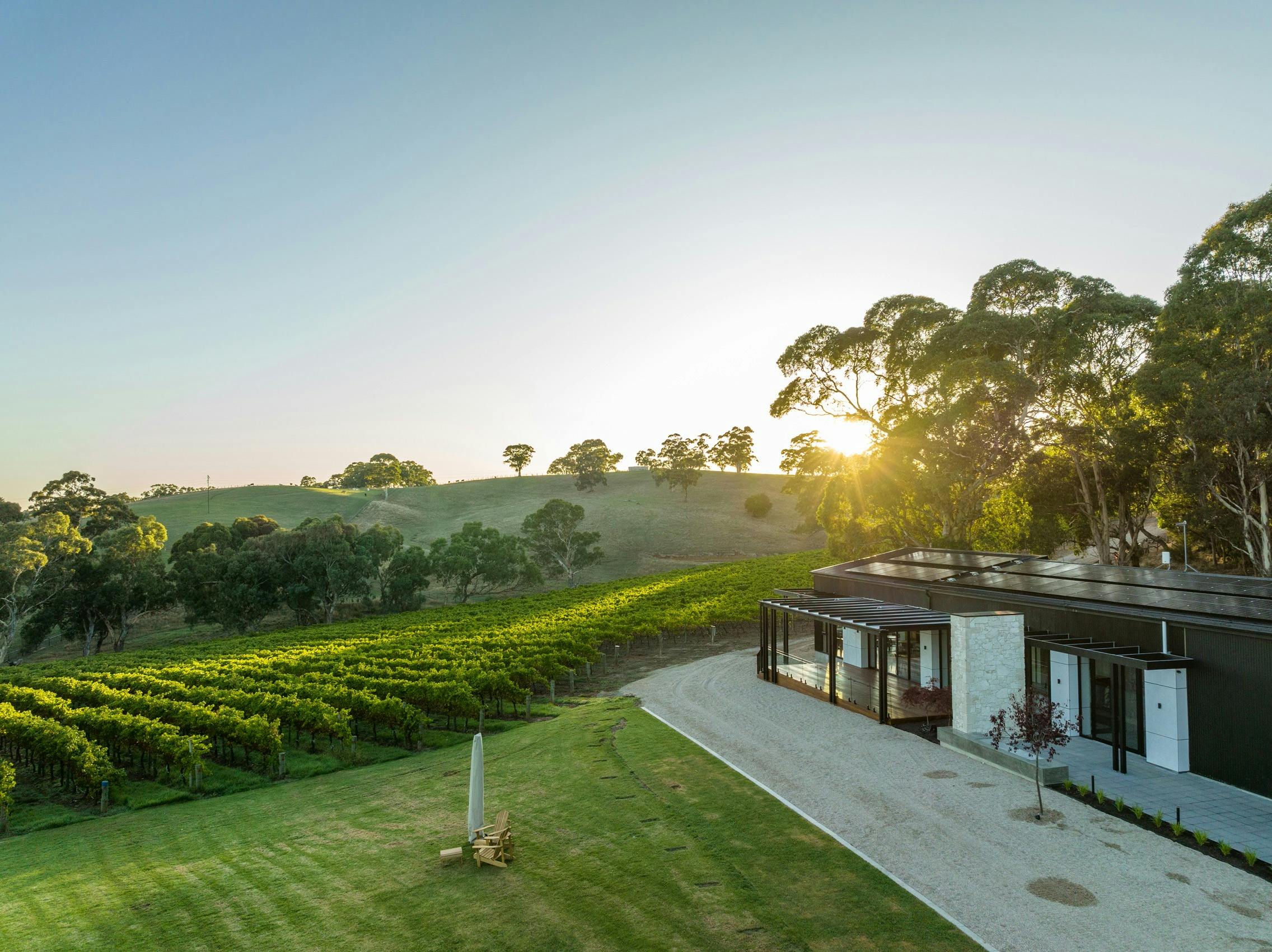 Cellar Door in vineyard setting