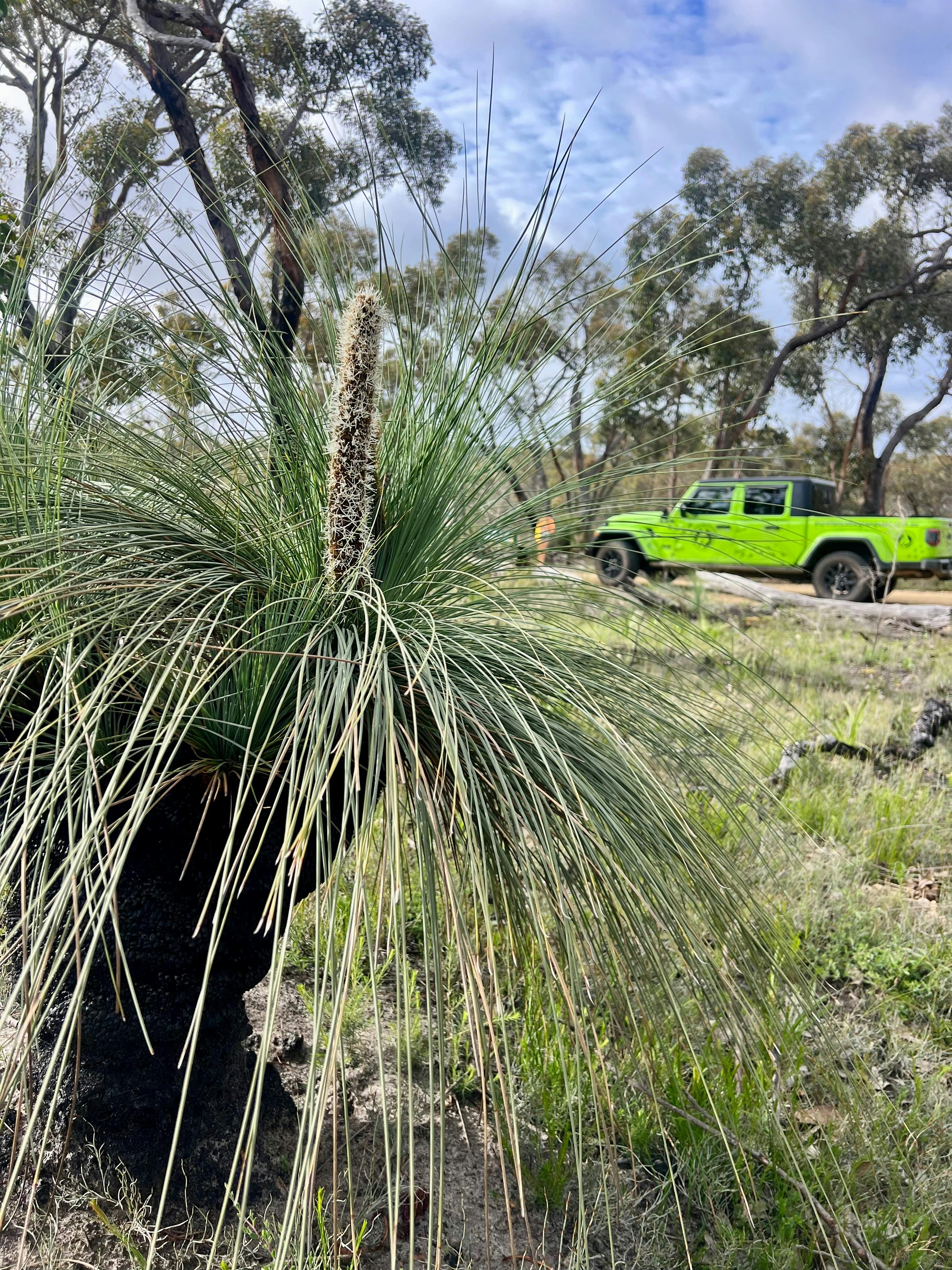 Grampians national park tour