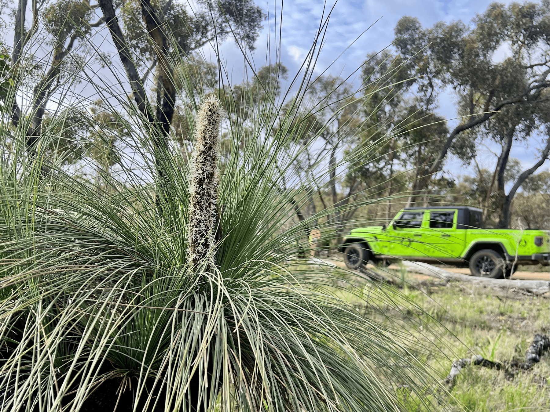 Grampians national park tour