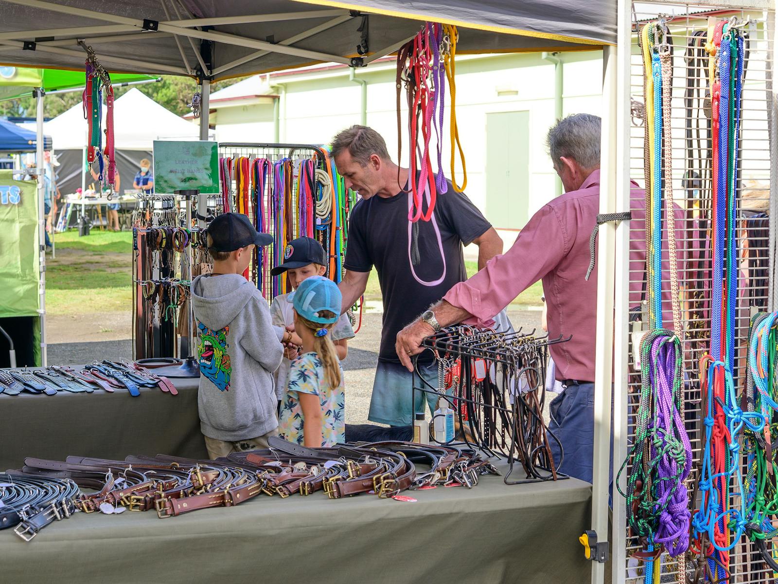 Belts & Animla Leads