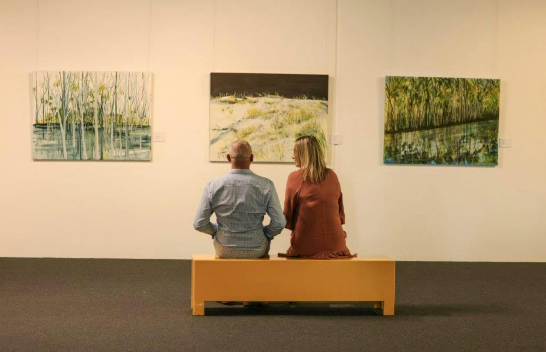Nulla Nulla Regional Gallery