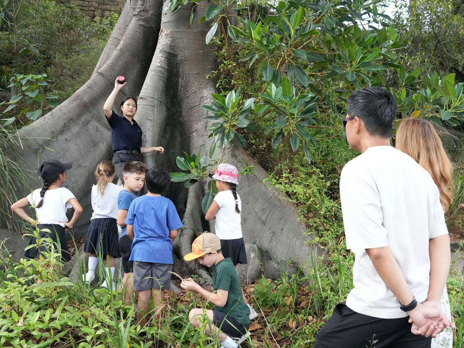 Curious Tales Family Tour