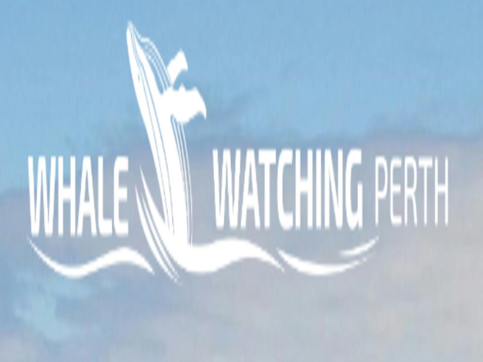 Whale Watching Perth