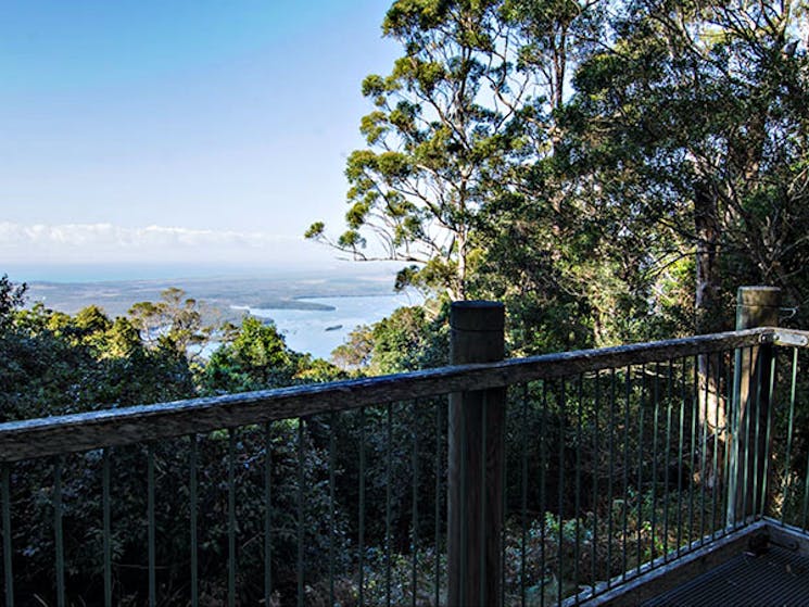 Rainforest loop, Dooragan National Park. Photo: John Spencer/NSW Government