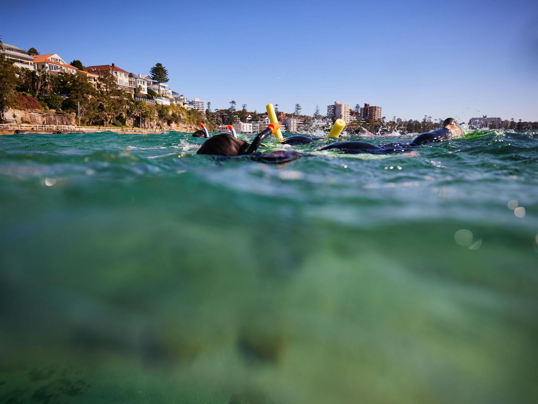 Manly snorkel tour shelly beach eco tour