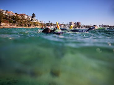 Ecotreasures Manly Snorkel Tour