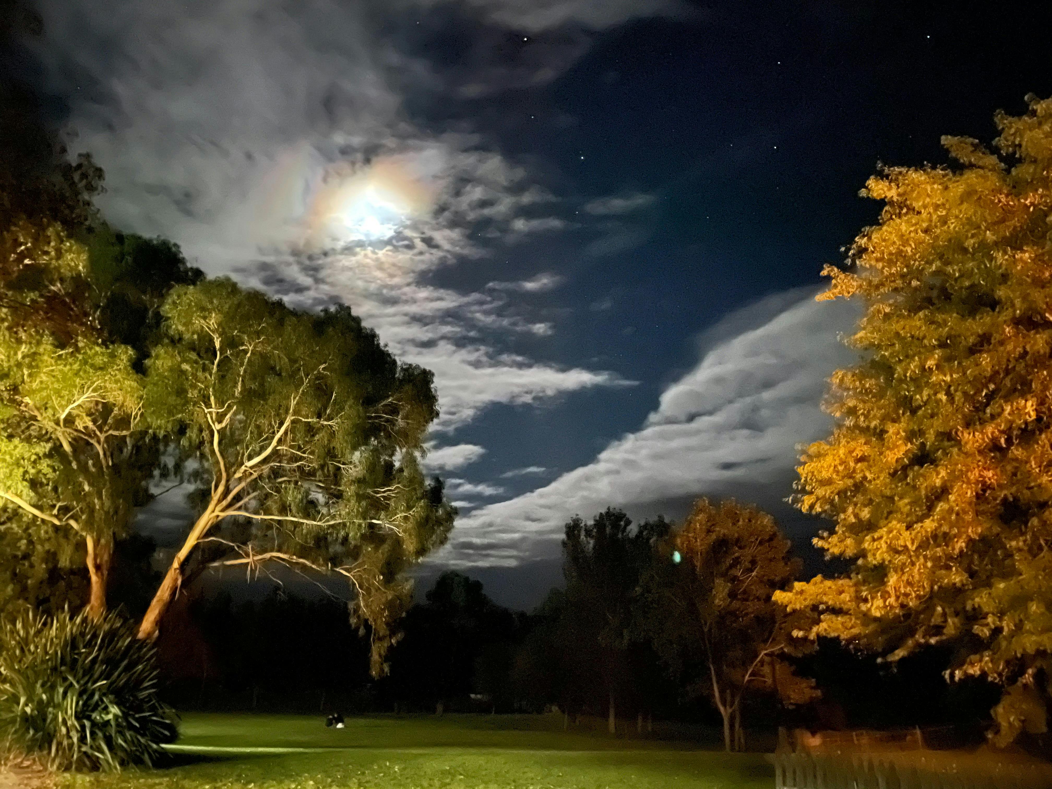 Dusk at Rutherford Park