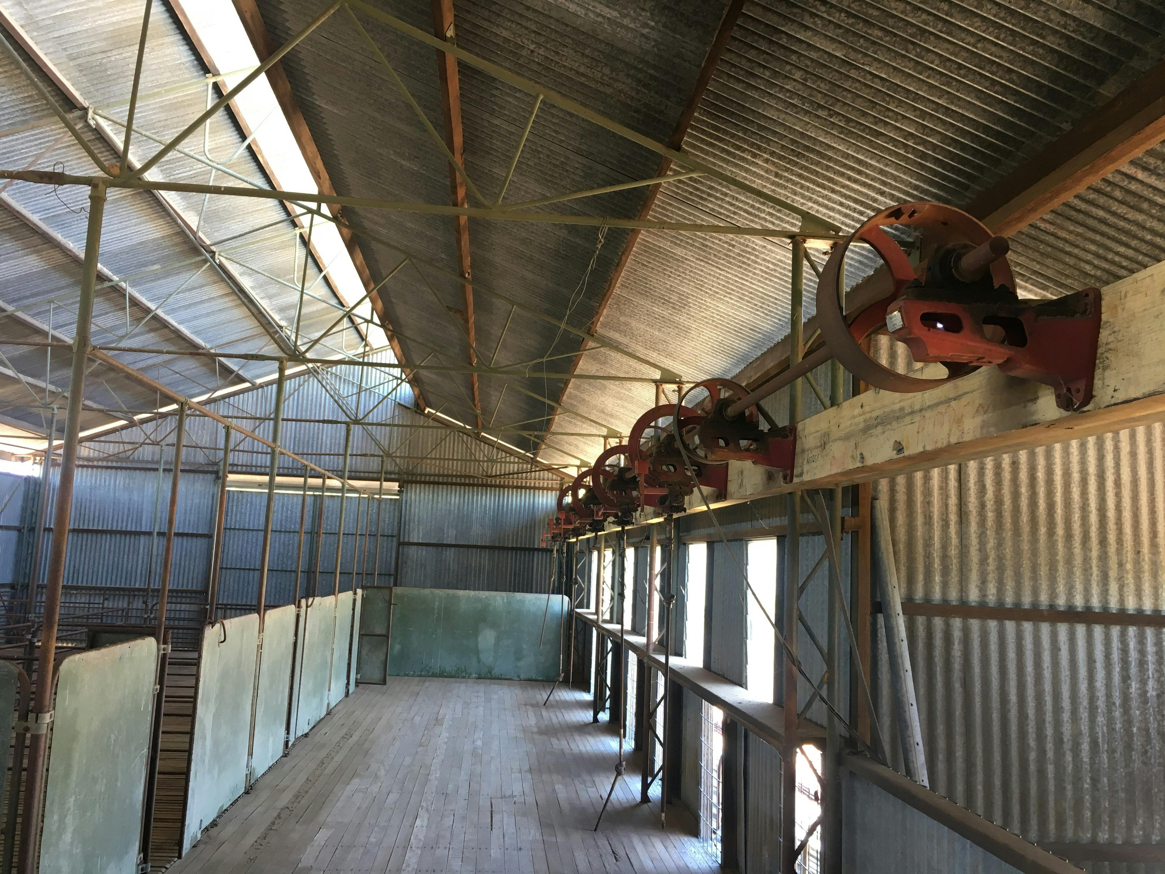 Bladensburg Shearing Shed