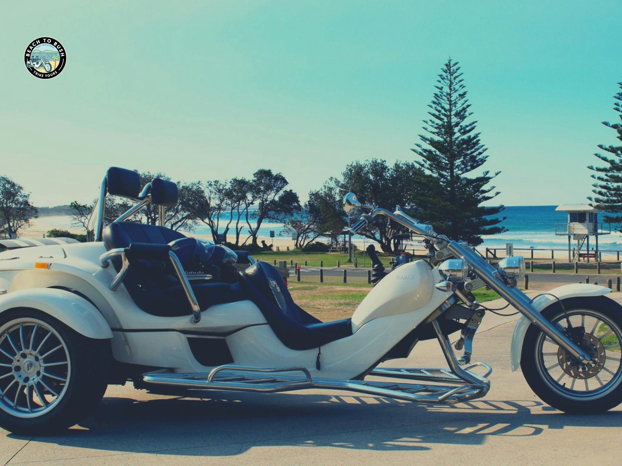 Beach to Bush Port Macquarie Trike Tours