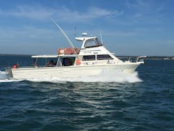 Explore the beautiful waters of Victoria by joining Westernport Fishing Charters.