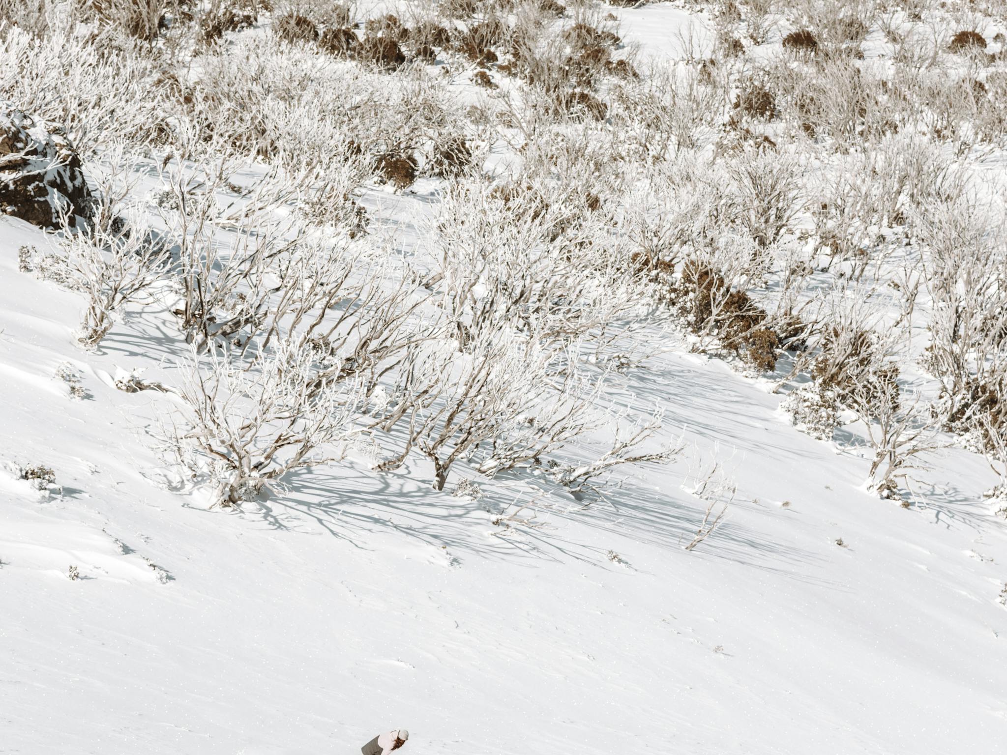 Falls Creek Backcountry Tours