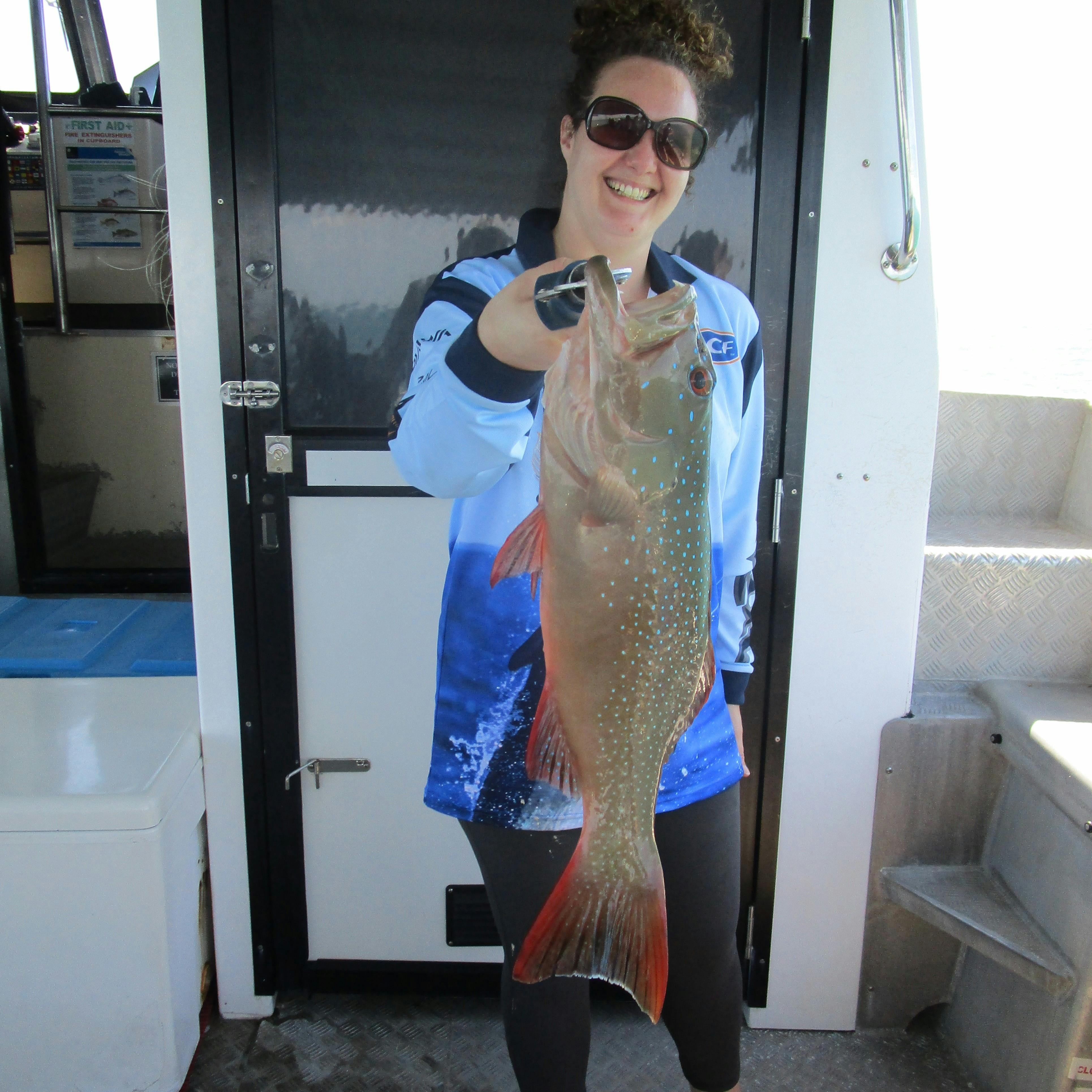 Reef fish catch on Bluewater charter