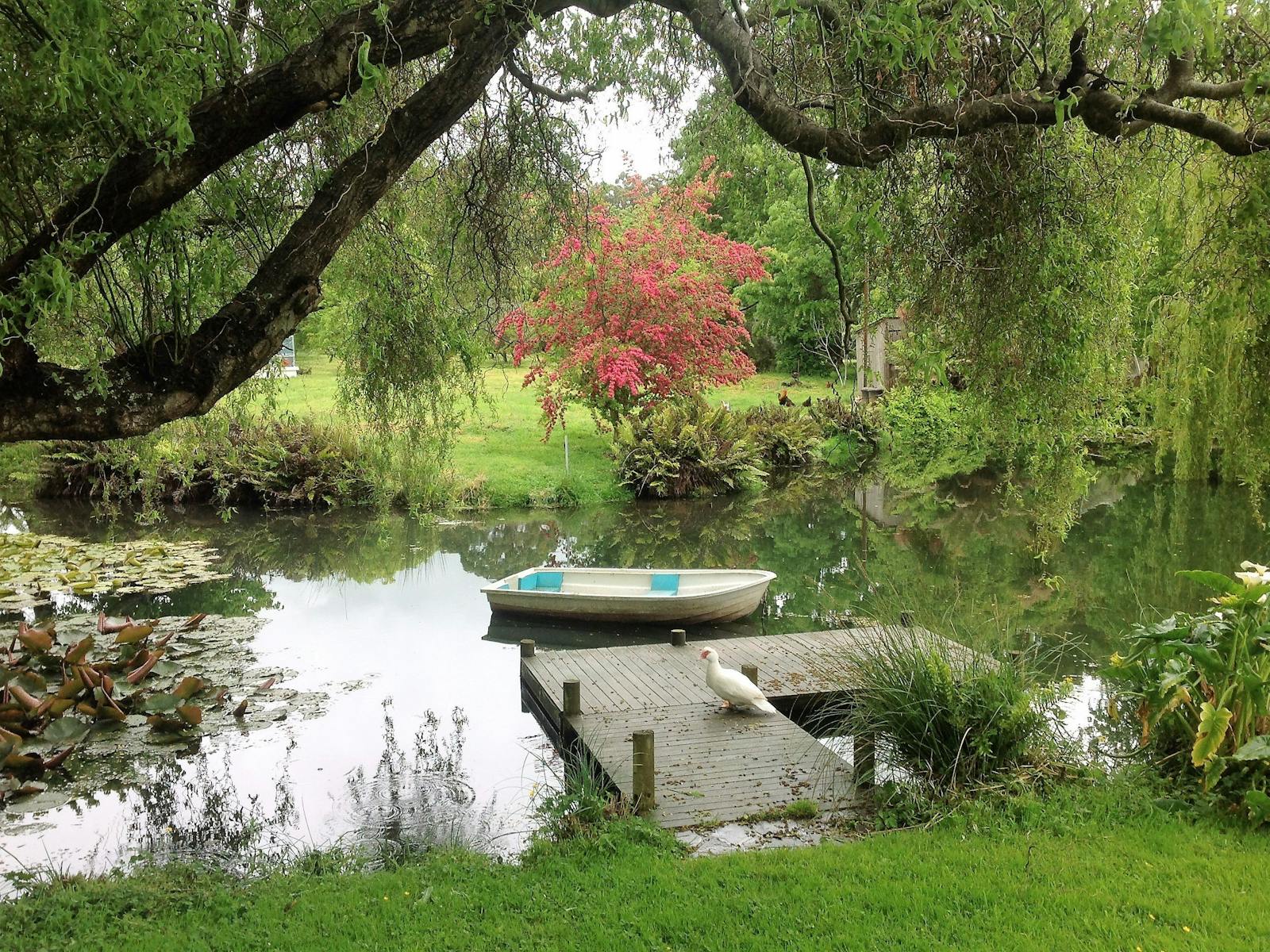 WATER FEATURE