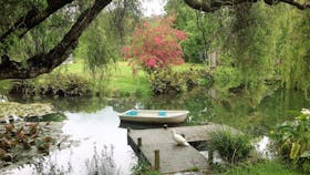 WATER FEATURE