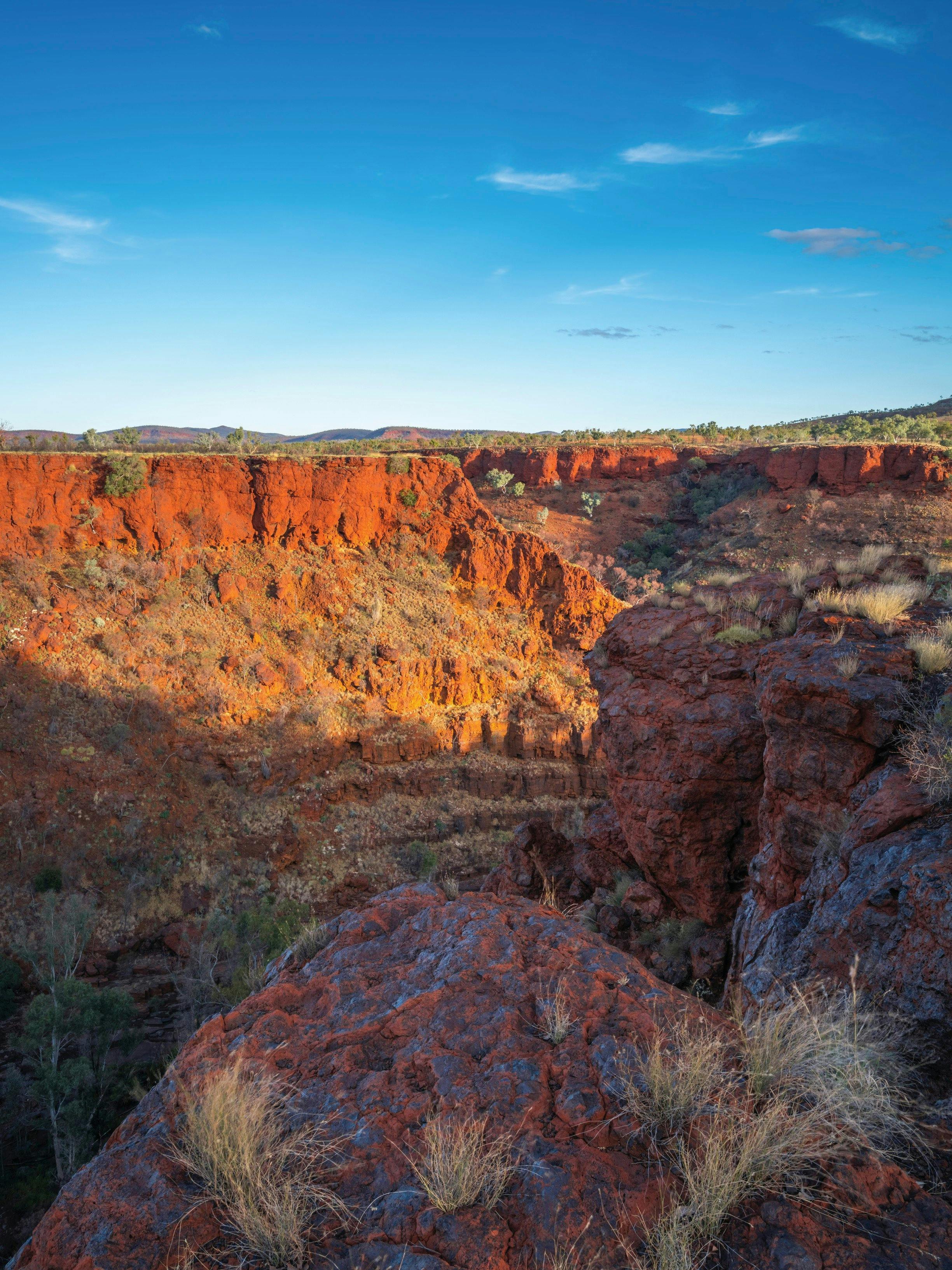 Pilbara Wildflower Trail, Karijini, Western Australia