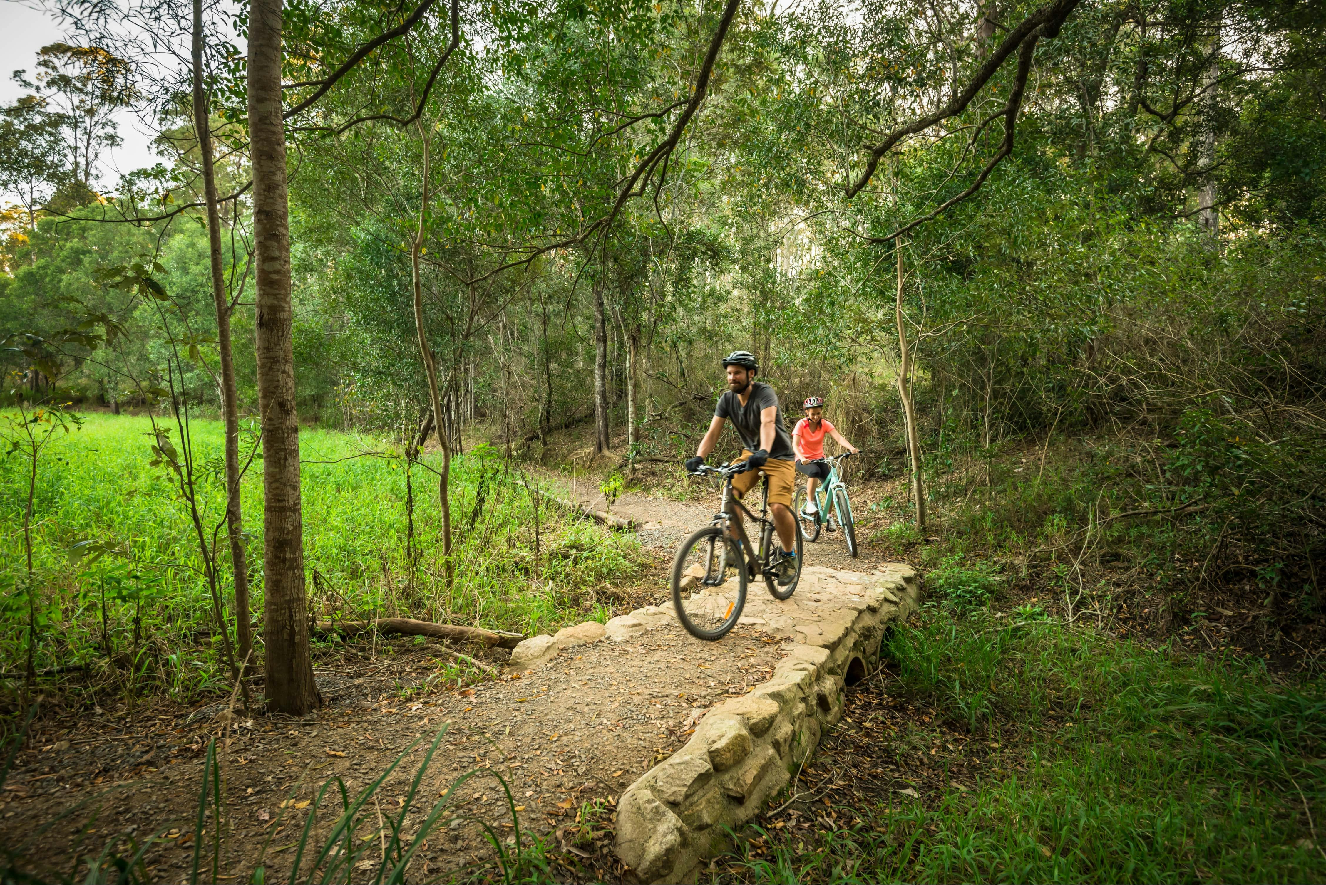 Mountain biking along the trails of D'Aguilar National Park.