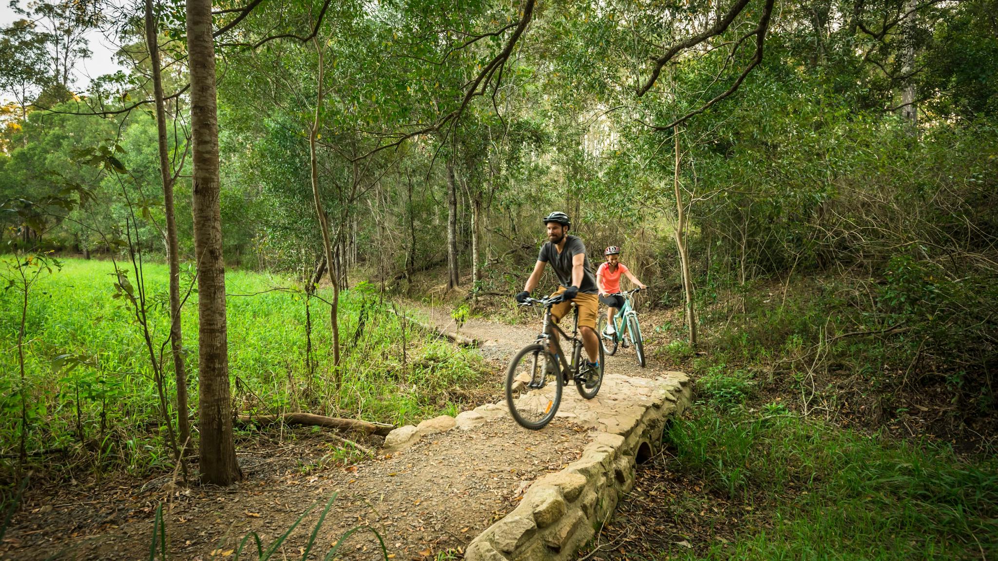 Mountain bikers on the trails of D'Aguilar National Park.