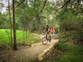 Mountain bikers on the trails of D'Aguilar National Park.