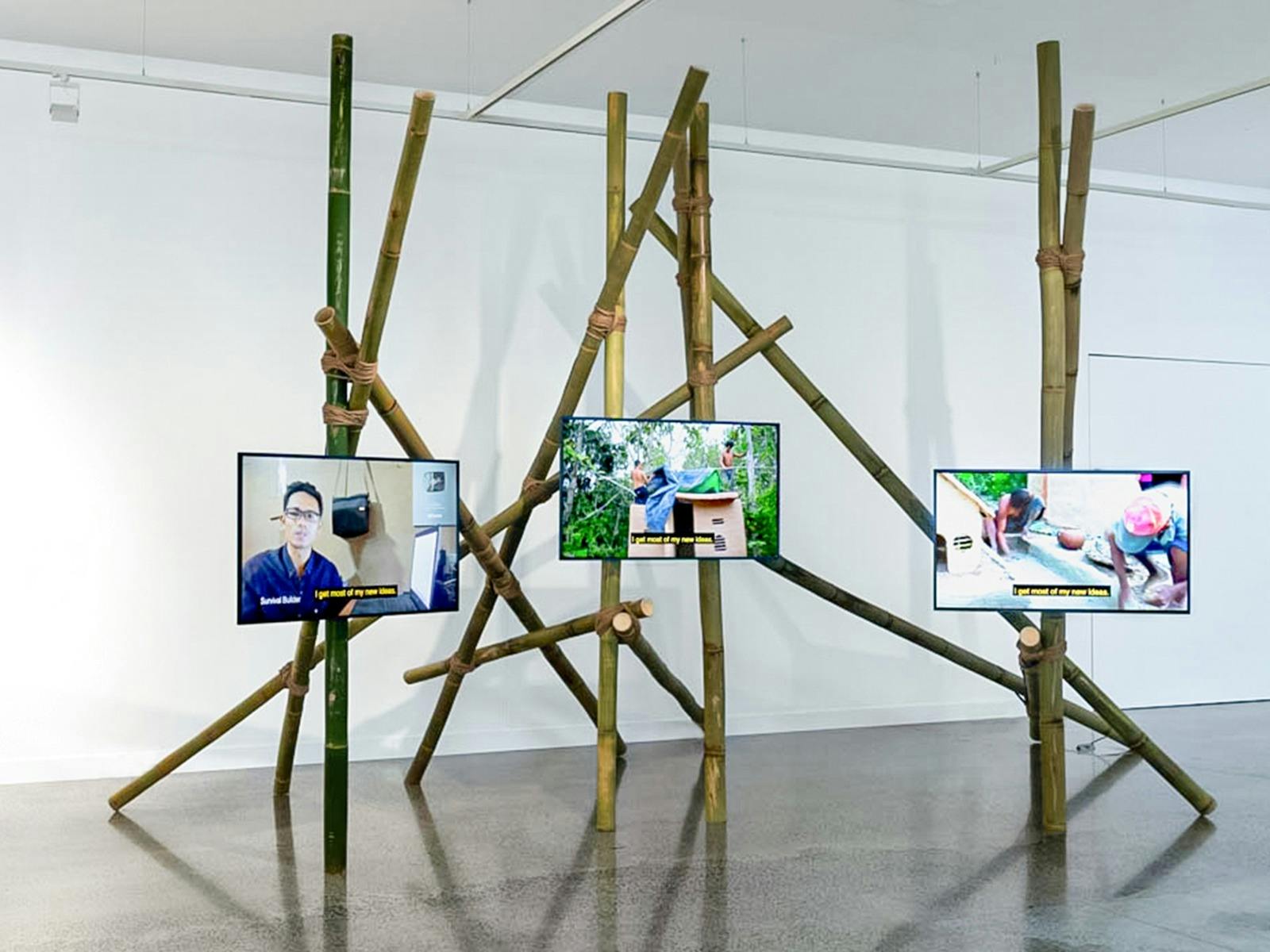 Bamboo Entwine as they Grow